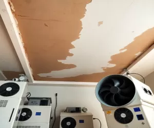 Osuszanie sufitu po zalaniu cena